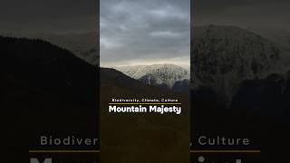 Explore mountain ecosystems: biodiversity in action. 🏞️ #peak #mountain #facts #climate Explore mountain ecosystems: biodiversity in action. 🏞️ #peak #mountain #facts #climate