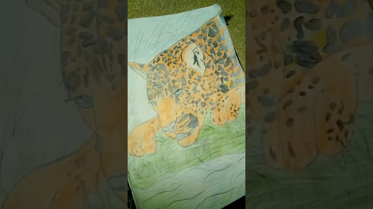 Coloring the leopard.  " Leopard boyamak. "
