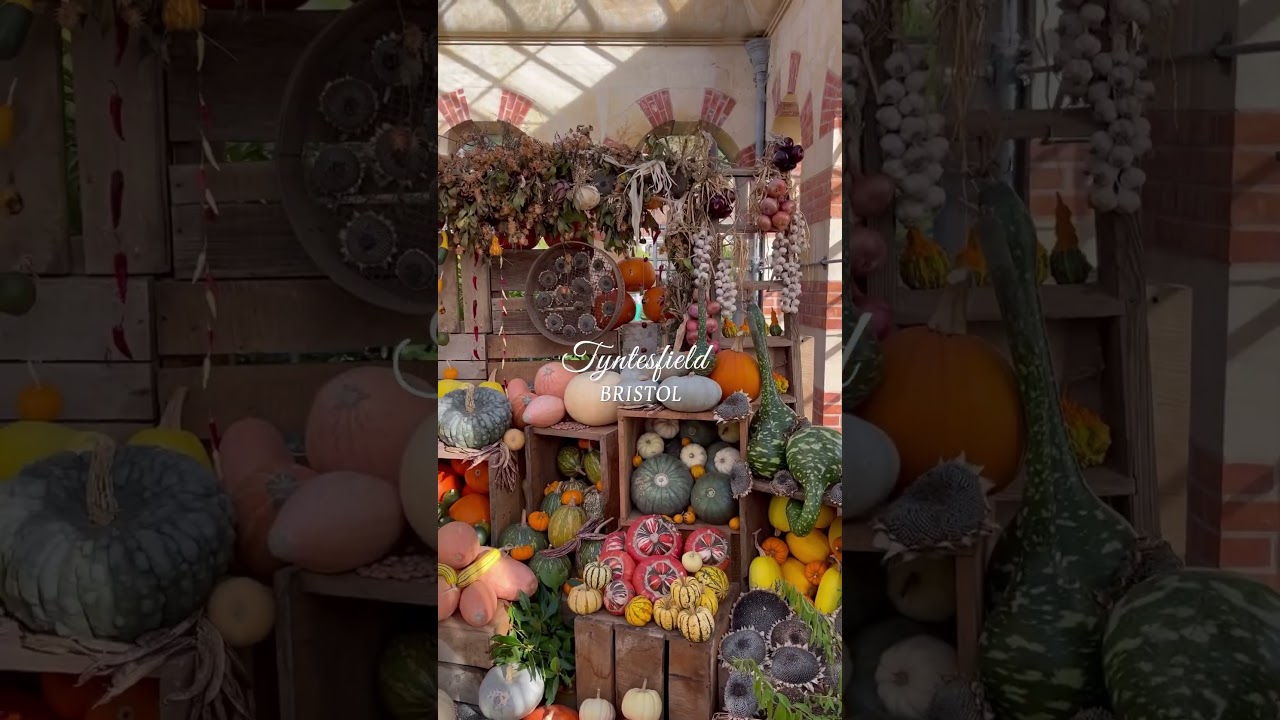 Somerset autumn gardens 🍂 