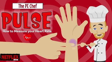 PE Chef: Pulse- How to Measure your Heart Rate (video lesson with worksheet)