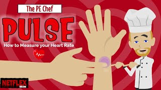 PE Chef: Pulse- How to Measure your Heart Rate (video lesson with worksheet) screenshot 3