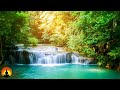 🔴 Study Music 24/7, Meditation Music, Concentration Music, Focus, Relaxing Music, Calm Music, Study