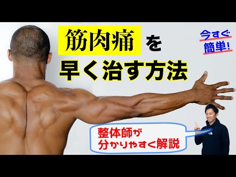 筋肉痛を早く治す方法【整体師が解説】筋肉痛ならビタミン○を摂取すれば早く治る　筋肉痛の原因を知れば対処法が理解できる