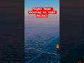 Airboat &amp; Tightrope: Insane stunts on frozen Lake Baikal! #shorts