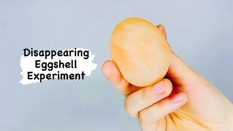 Disappearing Eggshell Experiment for Kids 🥚