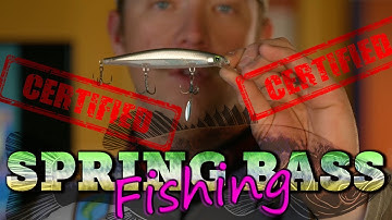 Spring Bass Fishing Tips : Prespawn