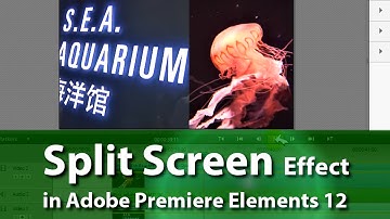 How to Create Split Screen Effect | Adobe Premiere Elements Training #8 | VIDEOLANE.COM