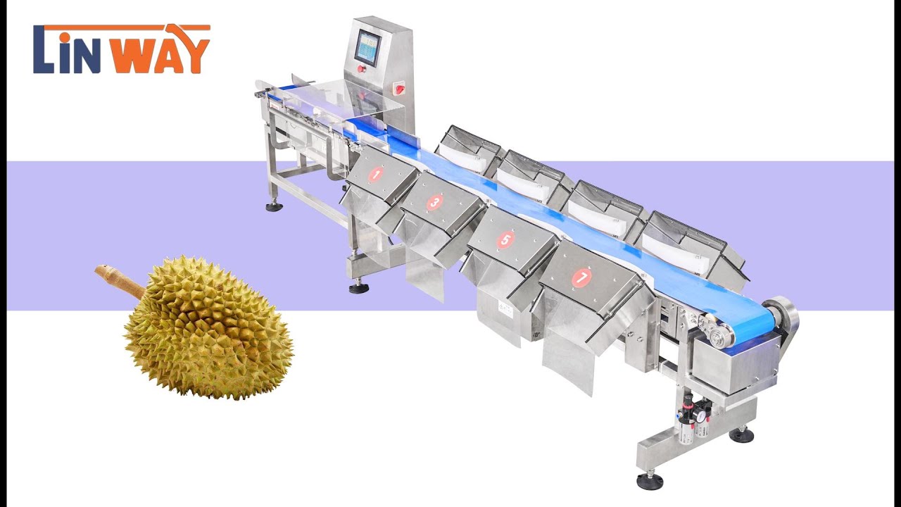 HOW TO MAKE WEIGHT GRADING SORTING DURIAN? 