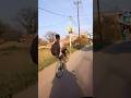 support me huge #shortvideo #stunt #trending #ytshorts