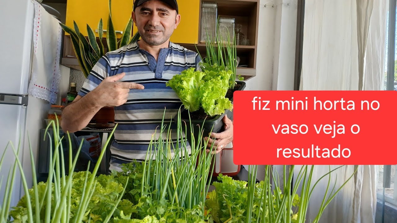 Mini horta no vaso  ficou show 