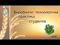 Виробничо технологічна практика студентів