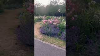 #radiohead #travel #beach #nature #uk #vlog #summer #england #sunset #europe #shorts #dorset #yt