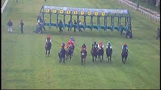 2024.06.23 Gran Premio Di Milano Ita - Flags Up