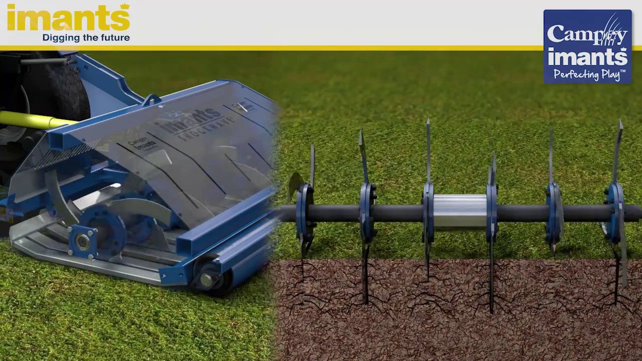 IMANTS Shockwave animation (the function of)