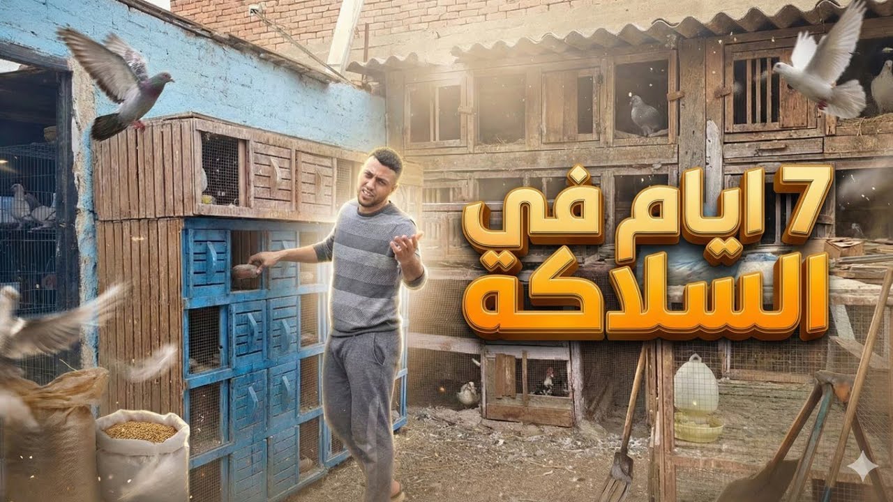 ٧ ايام بهدله في السلاكه 😱 احدث كتير مع الحمام !