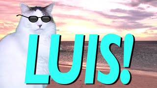 HAPPY BIRTHDAY LUIS! - EPIC CAT Happy Birthday Song