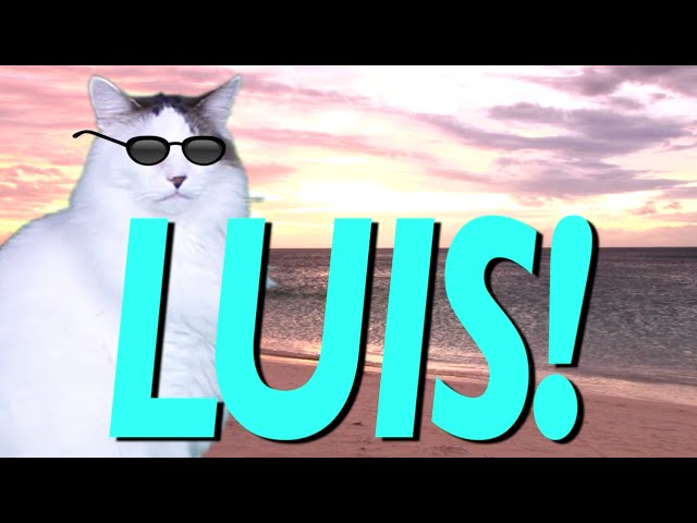 HAPPY BIRTHDAY LUIS! - EPIC CAT Happy Birthday Song