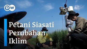 Petani Hadapi Perubahan Iklim dengan Inovasi Sensor Cuaca dan Tanah