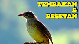 SUARA MASTERAN KAPAS TEMBAK GACOR DOR FULL TEMBAKAN MEWAH  TERBAIK 2024❗️JOSS GANDOSSSSS