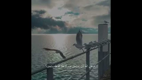 سورة الفتح🌺 قرآن كريم بصوت القارئ عبد الرحمن مسعد 🌺 حالات واتساب
