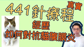 真實441針經歷如何對抗貓腹膜炎貓貓的痛苦如何讓我刻服恐惧FIP不是絕症