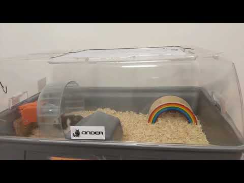Hamster Wheel Generator