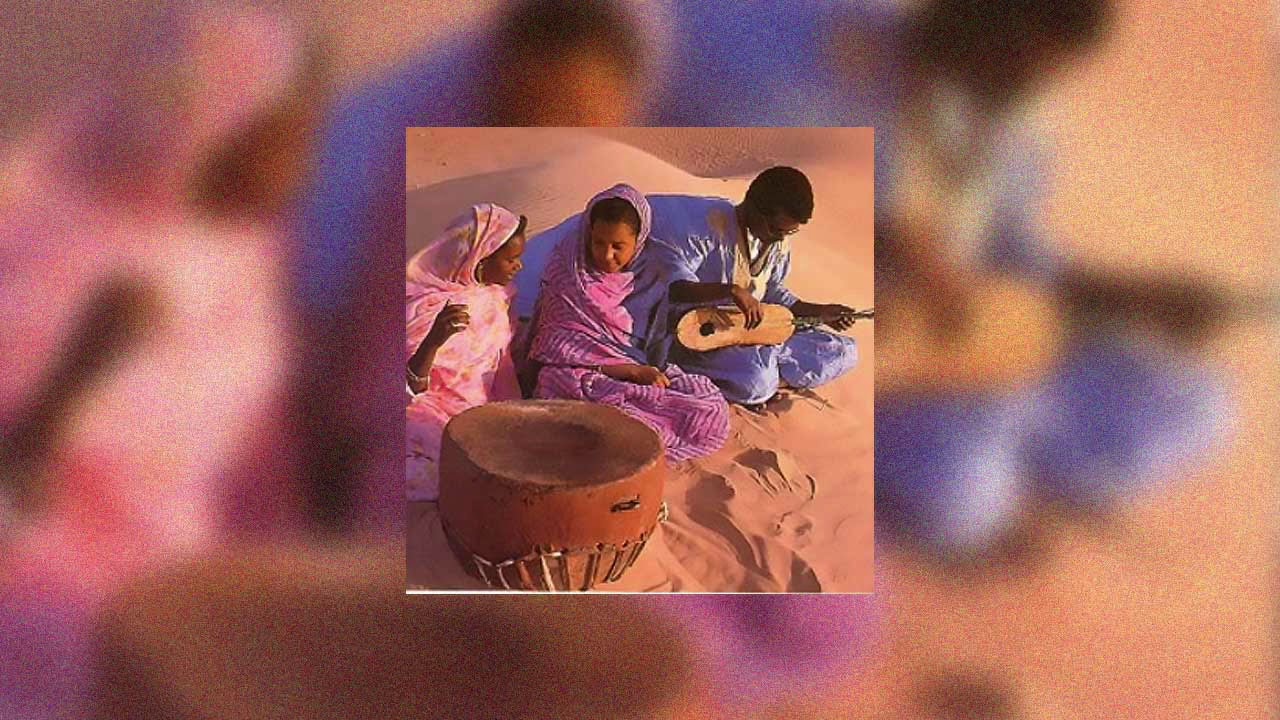 khalifa-ould-eidde-dimi-mint-abba-the-tortoise