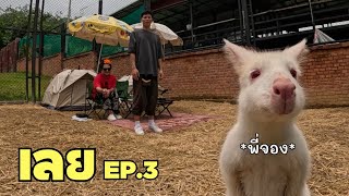 Download Lagu เช้าใจสงบ สายเล่นสนุก MP3 Download Lagu เช้าใจสงบ สายเล่นสนุก MP3