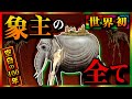【ワンピースドロピザ】象主 ズニーシャの全てです。83