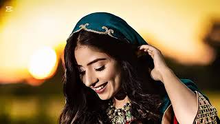 Meku ruwan dy Slow and reverb | Tanha Tanha mat socha kar |Teday yaar hasay | saraiki lofi song 2025