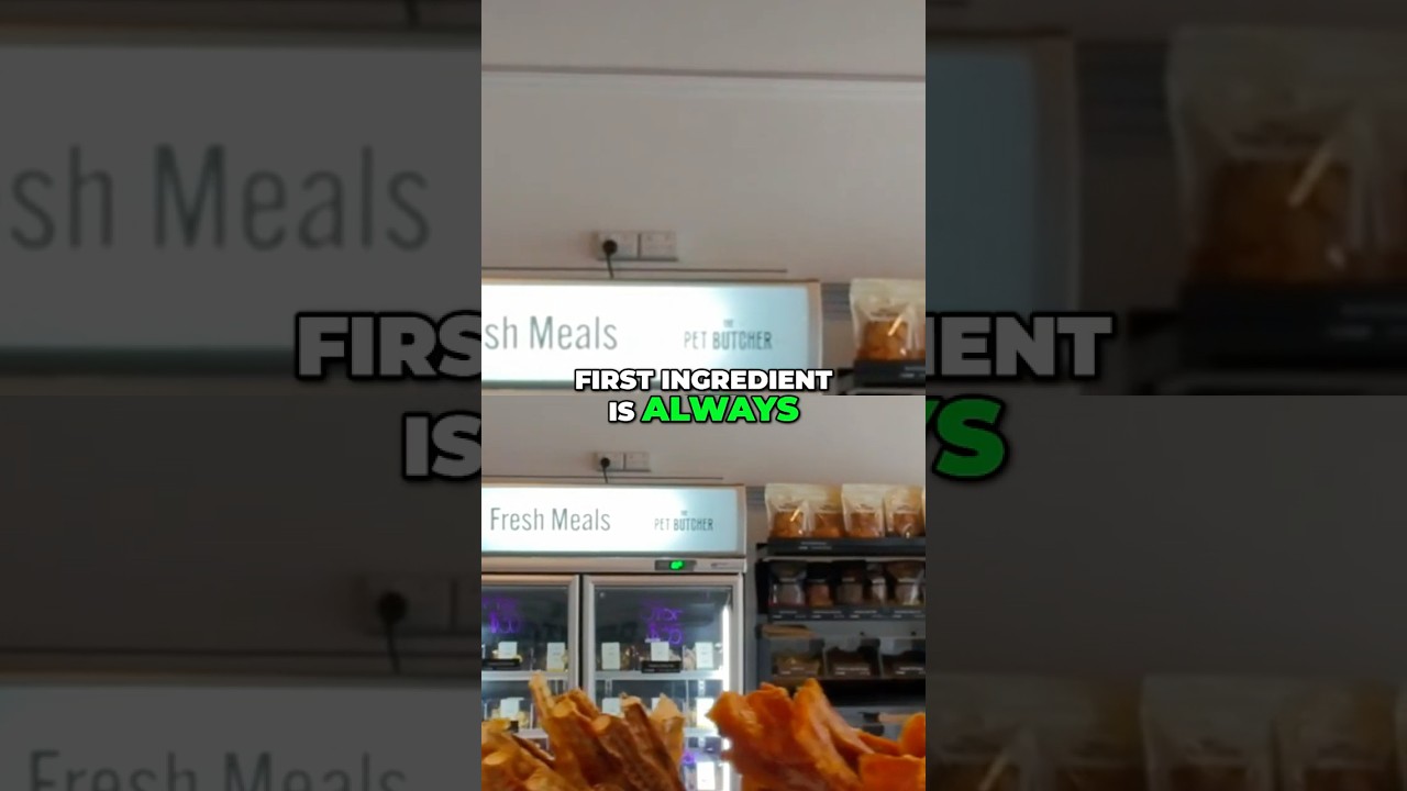 Dog Food: Toxic Foods & Best Ingredients Explained! 