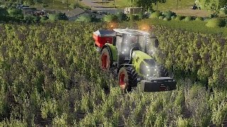 nowy nabytek i oprysk pszenicy w farming simulator 19 #16