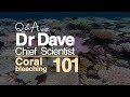 Coral Reefs and Climate Change: Understanding Coral Bleaching Causes and Effects