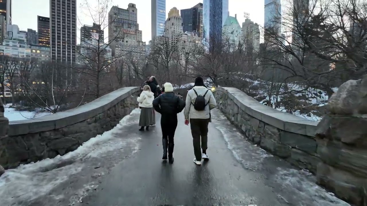 New York City: Central Park | 5th Ave Manhattan