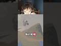 PEAK #gaming #funny #helpmemakethismakesense #capcut #butifyoucloseyoureyes #fyp