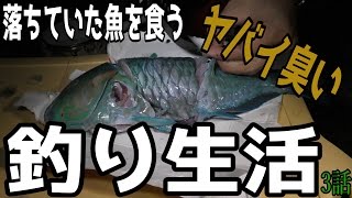 所持金0円で釣り生活　3話　【津堅島編　サバイバル】