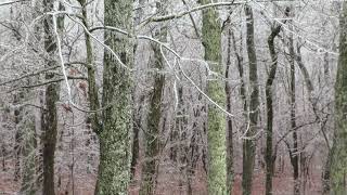 Ice storm at the mountain house.