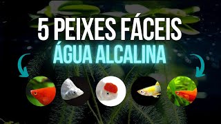 5 peixes fáceis para aquário de água alcalina