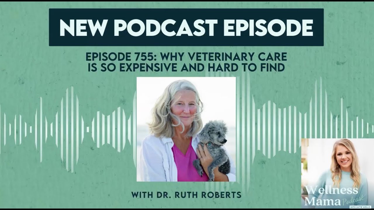 Ep. 755: Why Veterinary Care Is So Expensive and Hard to Find With Dr ...