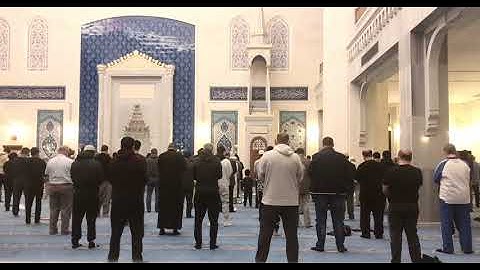 فجرية سورة المؤمنون ((وَقُل رَّبِّ اغْفِرْ وَارْحَمْ وَأَنتَ خَيْرُ الرَّاحِمِينَ))#يعمر_مساجد_الله