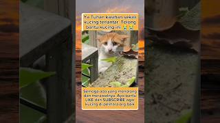 anabul terlantar #kucingjalanan #kucingsedih #sedih #anabul