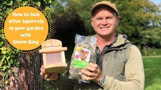 Care for squirrels in your garden