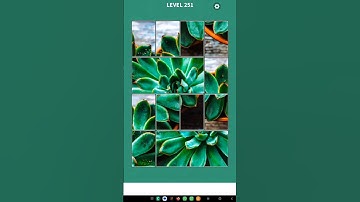 Daily Puzzle 🧩 #youtubeshorts #puzzlegame #youtubeshorts #jigsolitaire