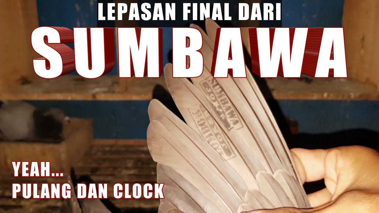 FINAL MERPATI POS KU PULANG DARI SUMBAWA ke BANJARNEGARA