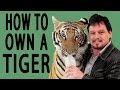 How to Own a Tiger - EPIC HOW TO