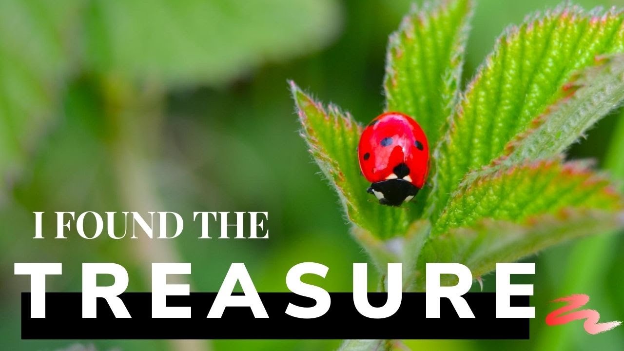 I FOUND THE TREASURE