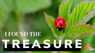 I FOUND THE TREASURE