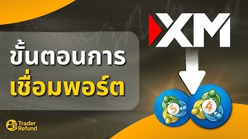 วิธีเชื่อมพอร์ต XM เข้ากับ MT4/MT5 มือใหม่ทำตามได้เลย