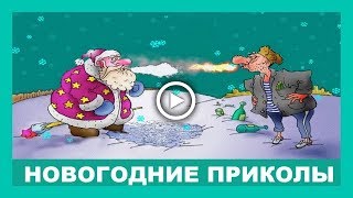 Поздравление со старым новым годом ✿ Новогодние видео приколы