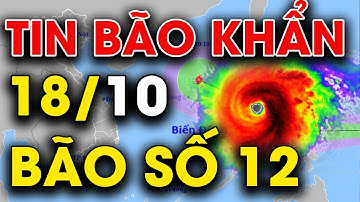 🔴[Trực Tiếp] TIN MƯA BÃO MỚI NHẤT: Áp thấp nhiệt đới tăng cấp cực nhanh, 